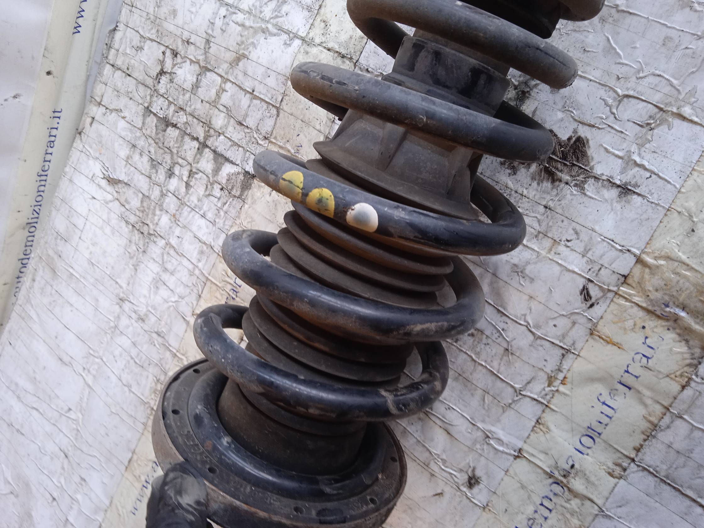 Ammortizzatore ant. sx.